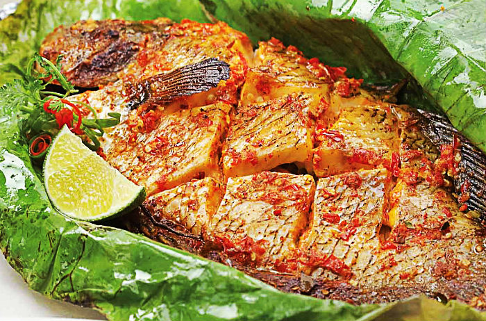 Cách Nướng Cá Bằng Nồi Chiên Không Dầu Thơm Ngon Chuẩn Vị