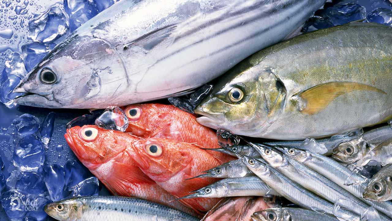 Cách chọn và bảo quản cá luôn tươi ngon