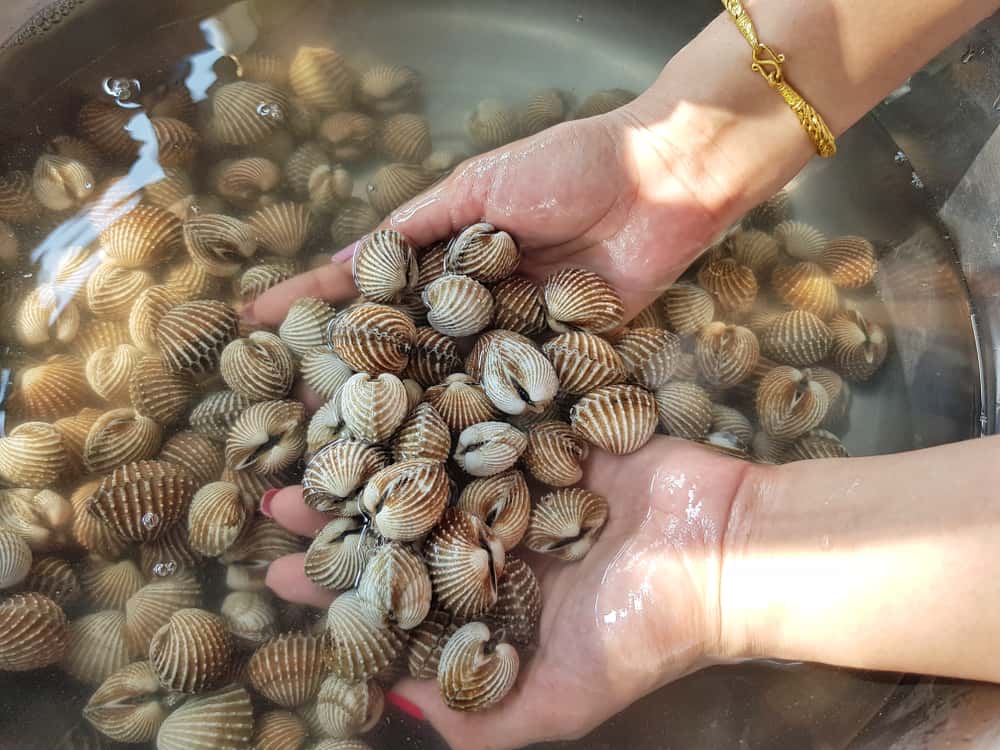 Mẹo làm sạch cát ở ngao