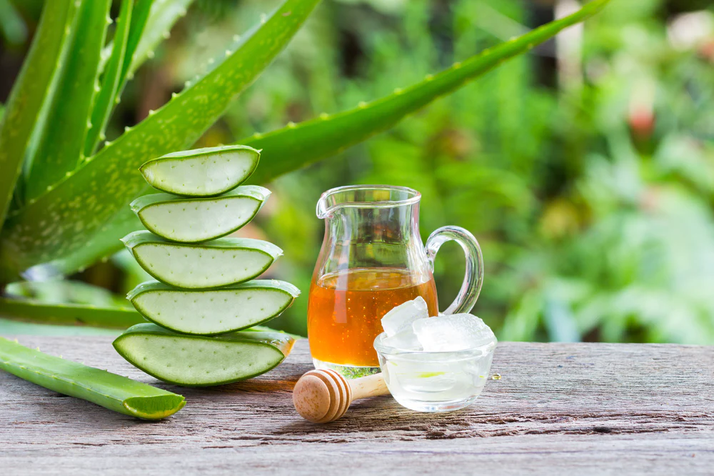 Công dụng của nha đam mật ong đối với sức khỏe