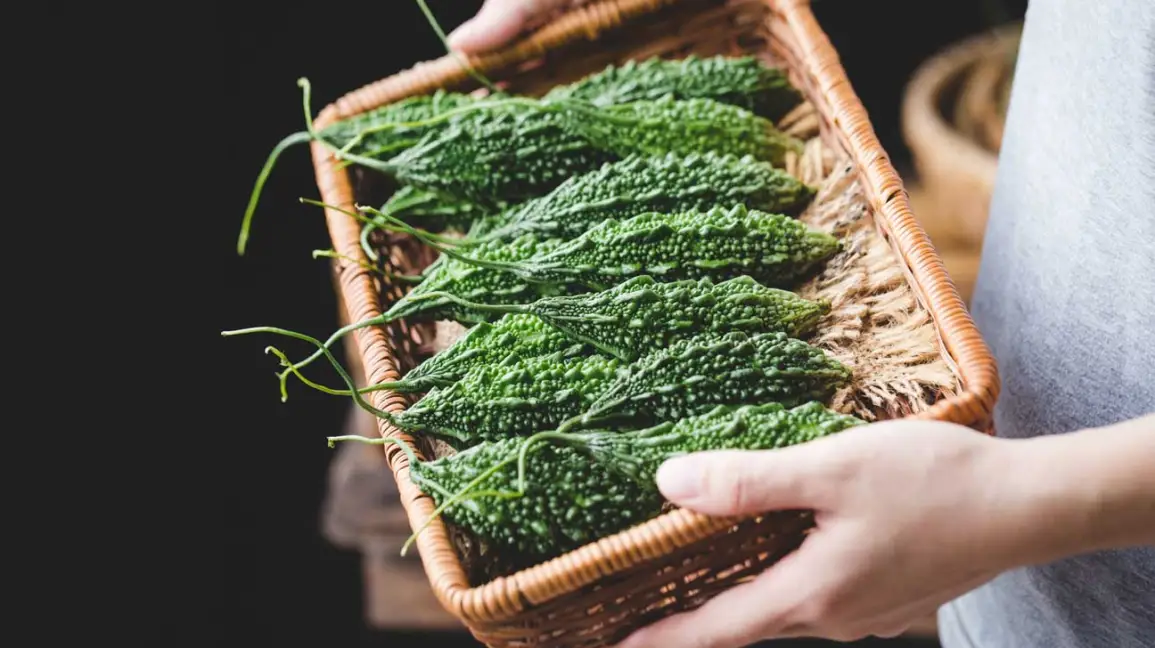 Ăn mướp đắng sống có tác dụng gì?