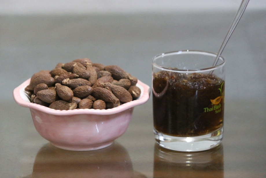 Hạt ươi bay có tác dụng gì?
