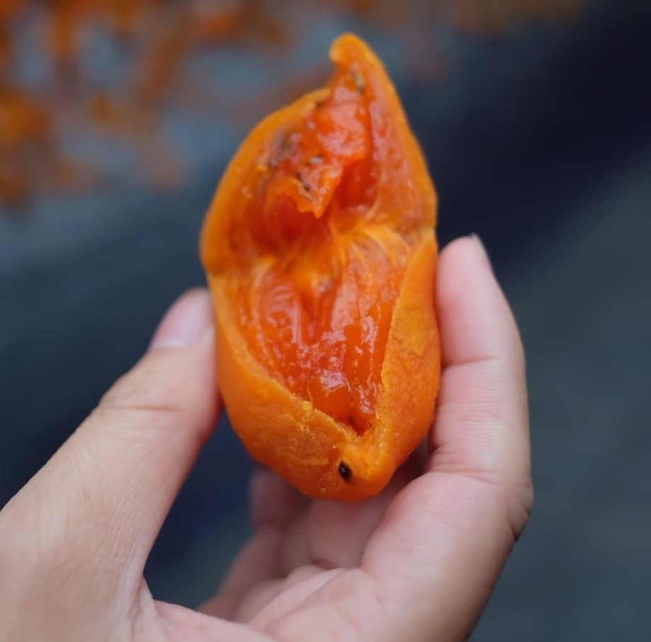 Cách làm hồng treo gió tại nhà