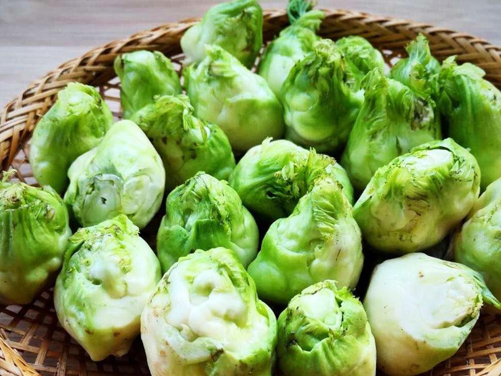 Gợi ý 3 cách nấu rau mầm đá ngon, dễ làm