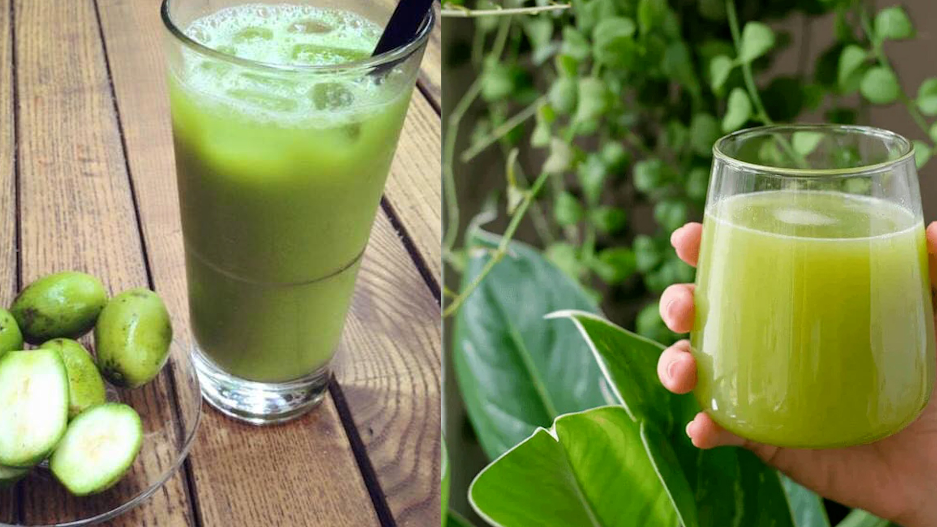 Nước ép cóc có tác dụng gì?