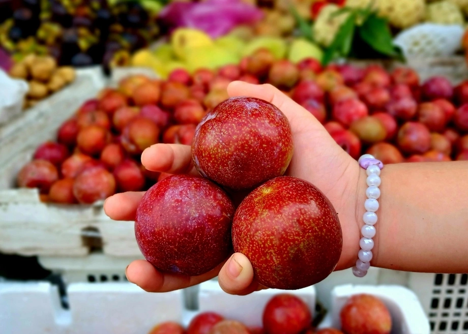 Mận làm được món gì? Gợi ý các món ngon từ mận dễ làm tại nhà