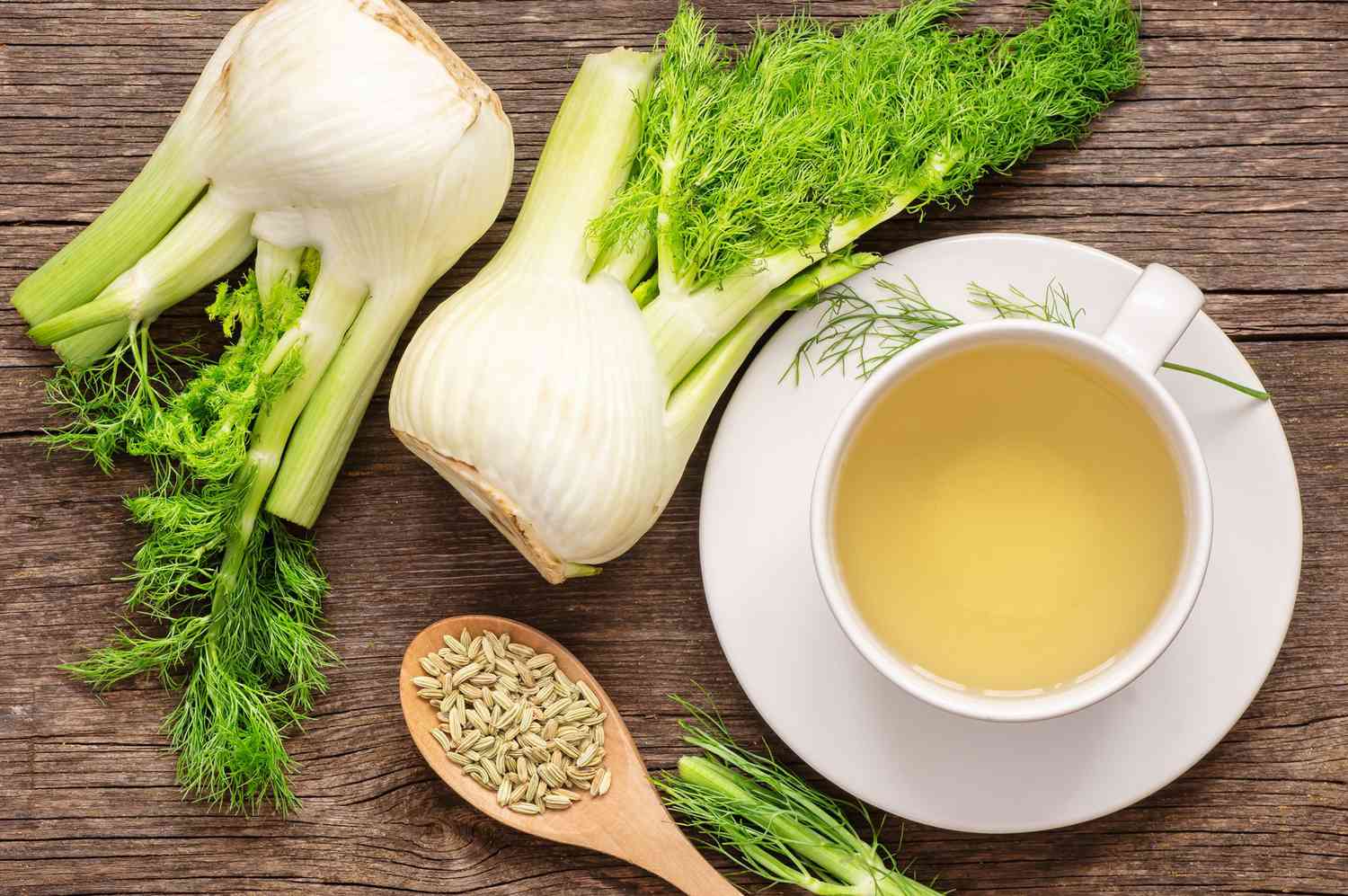 Cây thì là nấu nước uống có tác dụng gì?
