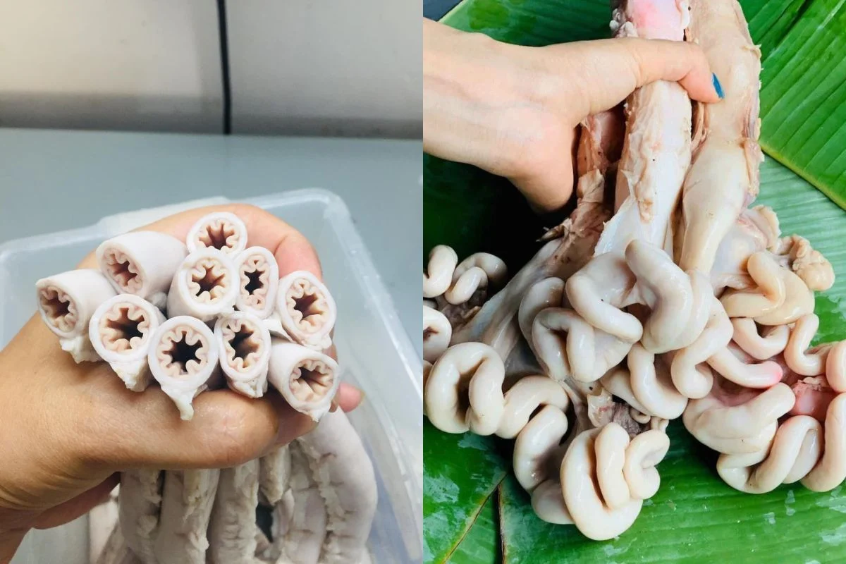 Lòng se điếu có phải dồi trường không? Bí mật đằng sau món ăn gây sốt cộng đồng mạng