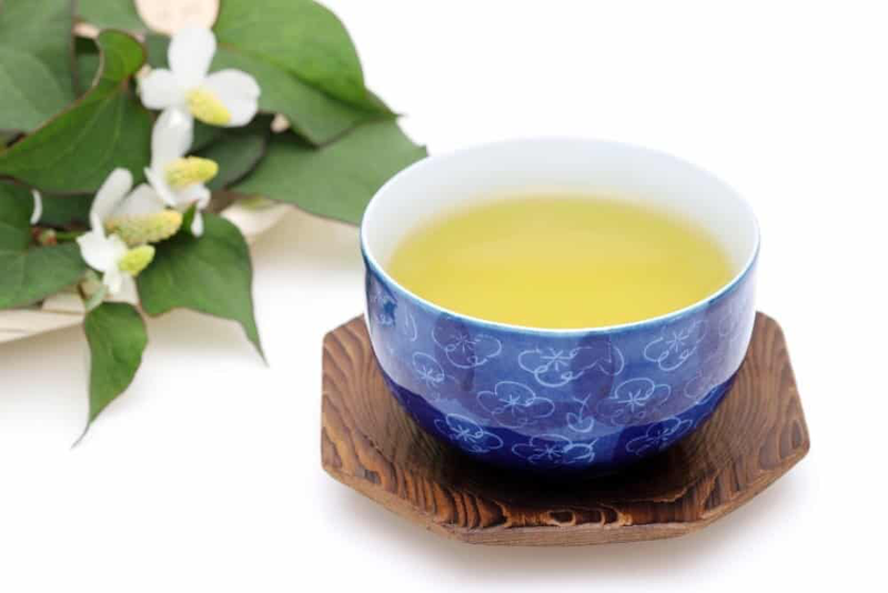 Trà diếp cá có tác dụng gì? Cần lưu ý những gì khi uống trà diếp cá