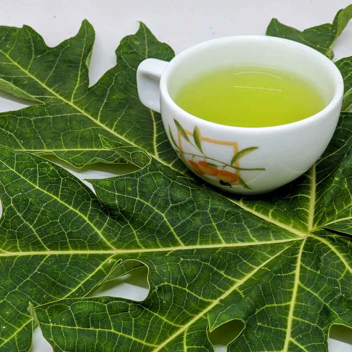 Công dụng của lá đu đủ là gì? Ai không nên sử dụng lá đu đủ